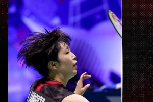 的人气和粘 的人气和粘