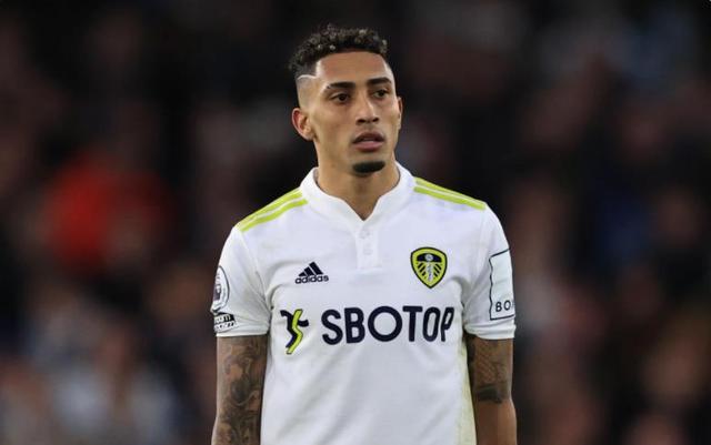 不仅是雄鹿 不仅是雄鹿