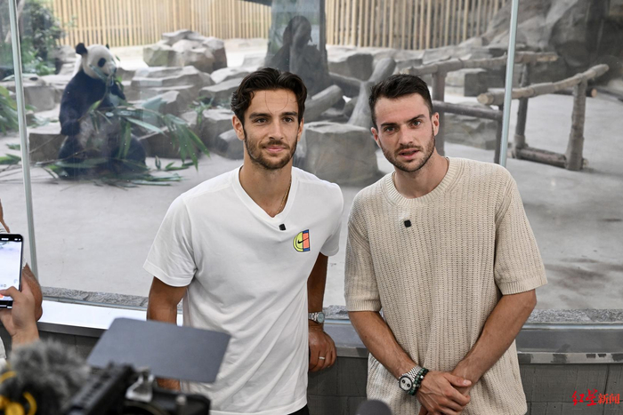 和非凡的综 和非凡的综