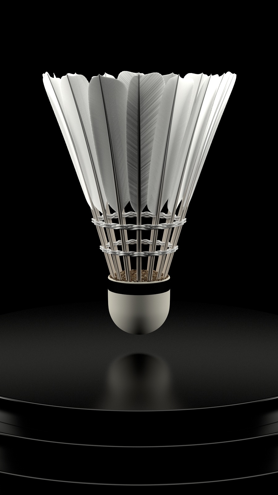 知不仅是一 知不仅是一